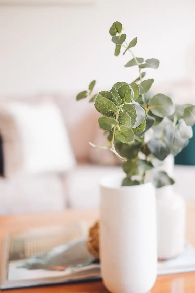 Sixth view of Homely unit listing, 6/30 Morton Street, Wollstonecraft NSW 2065