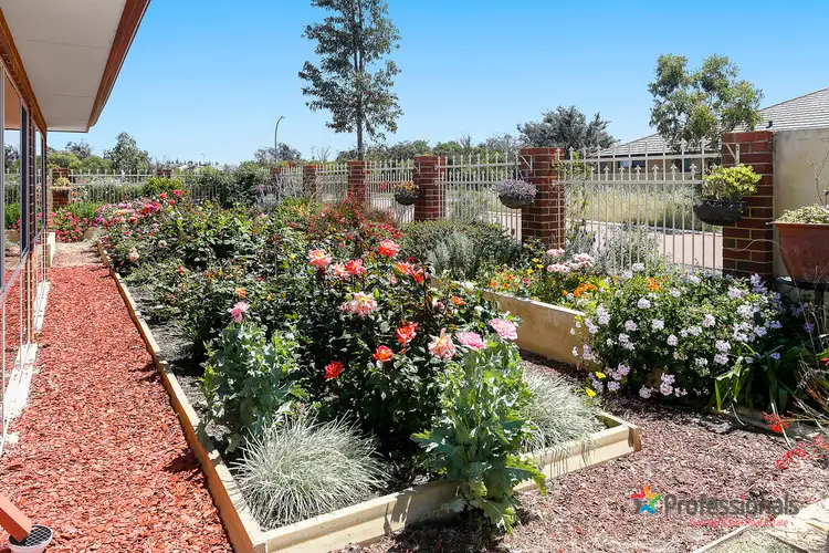 Fourth view of Homely house listing, 8 Althrop Way, The Vines WA 6069