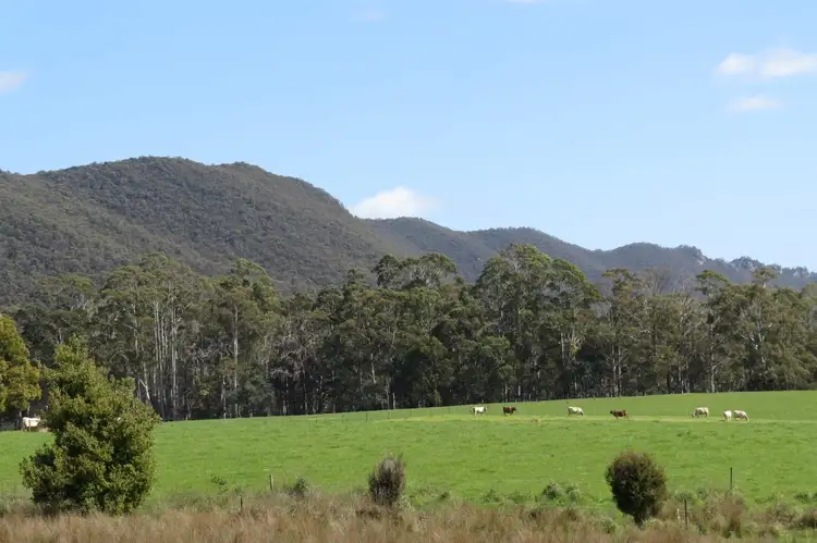 Sixth view of Homely house listing, 251 New Bed Road, Railton TAS 7305