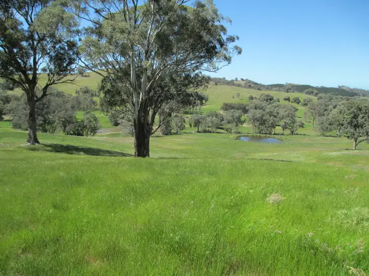 Main view of Homely rural property listing, 100 Old Gobur Road, Gobur VIC 3719