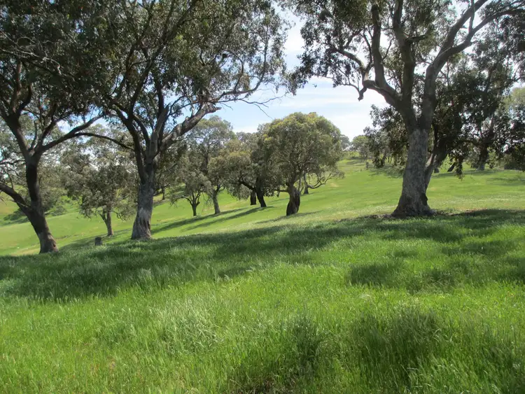 Second view of Homely rural property listing, 100 Old Gobur Road, Gobur VIC 3719