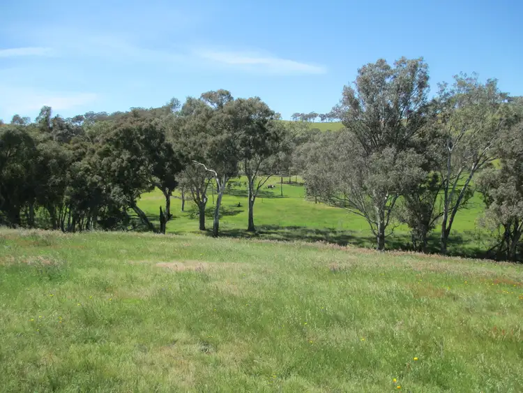 Seventh view of Homely rural property listing, 100 Old Gobur Road, Gobur VIC 3719