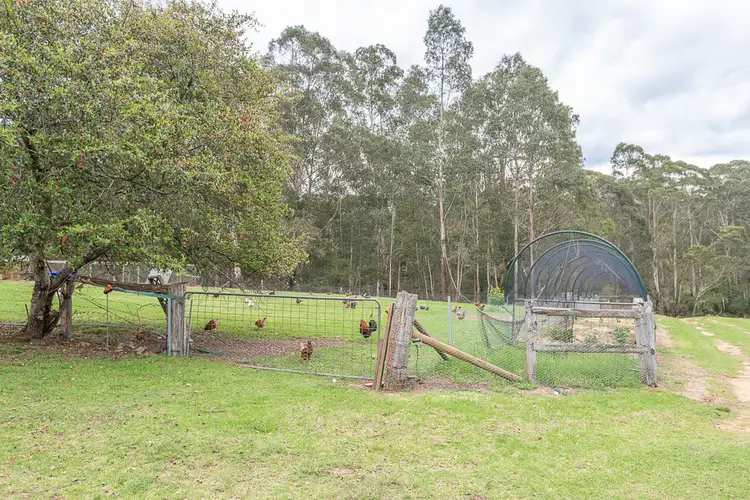 Fifth view of Homely house listing, 38 Gulph Creek Road, Nerrigundah NSW 2545