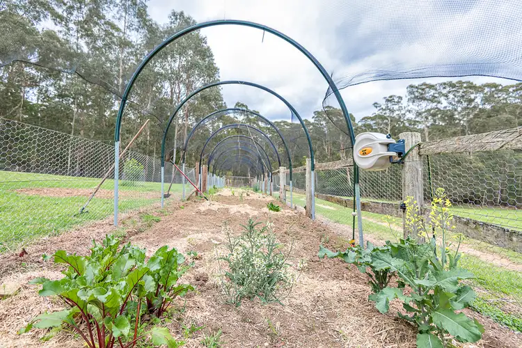 Seventh view of Homely house listing, 38 Gulph Creek Road, Nerrigundah NSW 2545