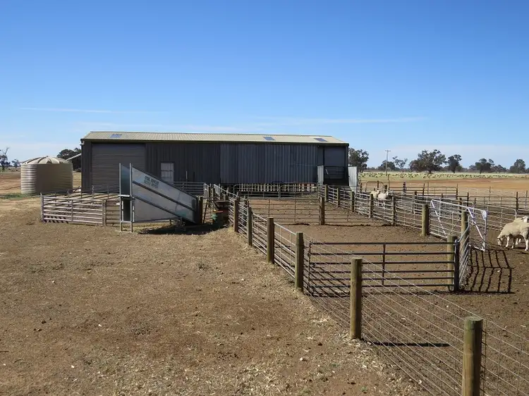 Fourth view of Homely rural property listing, 30 Troys Road, Wakool NSW 2710