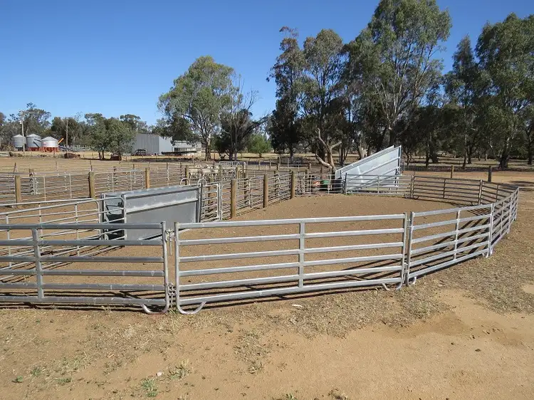 Sixth view of Homely rural property listing, 30 Troys Road, Wakool NSW 2710