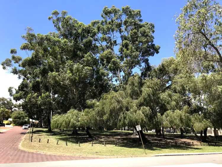 Fourth view of Homely house listing, 3A Kavanagh Street, Wembley WA 6014