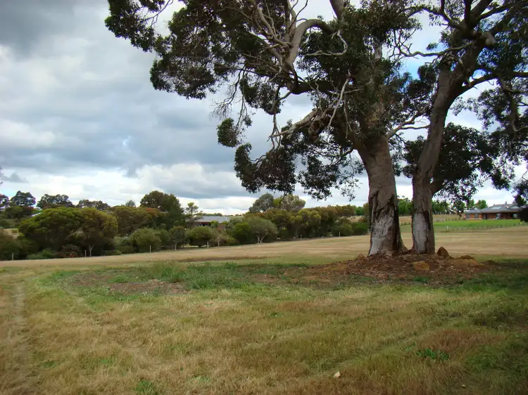 Main view of Homely land listing, 6 Cottonwood close, Kangaroo Gully WA 6255