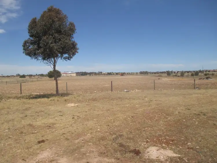 Sixth view of Homely house listing, 42 Magpie Drive, Tailem Bend SA 5260