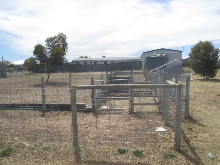 Seventh view of Homely house listing, 42 Magpie Drive, Tailem Bend SA 5260