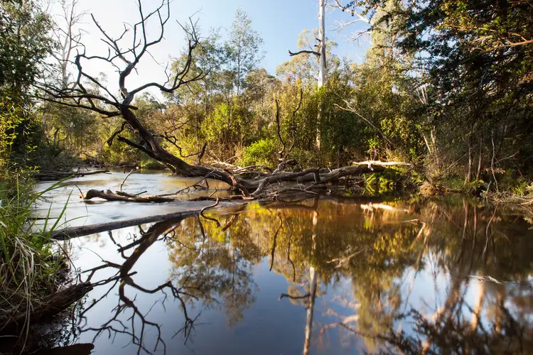Fifth view of Homely rural property listing, 88 Wilhelmina Falls Road, Murrindindi VIC 3717
