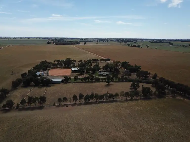 Second view of Homely rural property listing, 1005 Riverina Highway, Berrigan NSW 2712