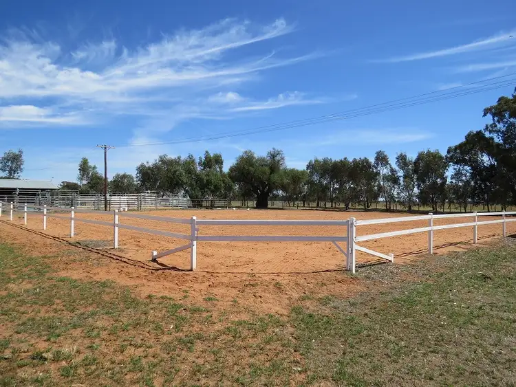 Fifth view of Homely rural property listing, 1005 Riverina Highway, Berrigan NSW 2712