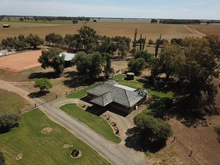 Sixth view of Homely rural property listing, 1005 Riverina Highway, Berrigan NSW 2712