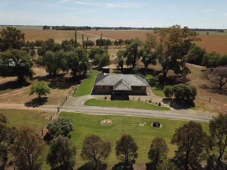 Seventh view of Homely rural property listing, 1005 Riverina Highway, Berrigan NSW 2712