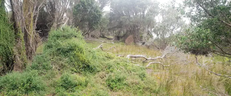 Second view of Homely land listing, Lot 1 Edens Road, Palana TAS 7255