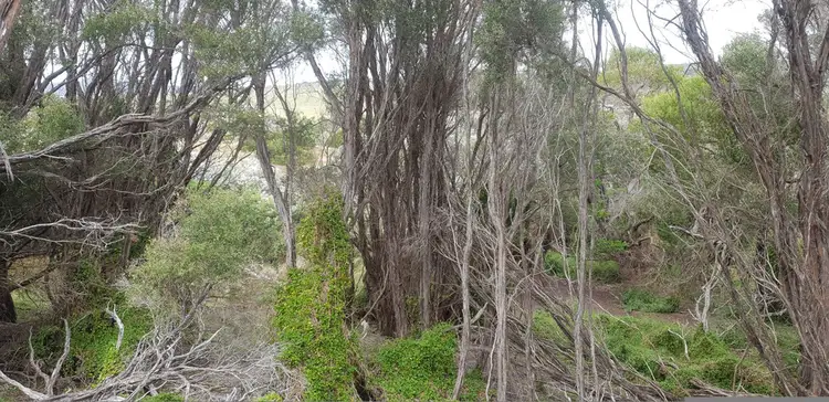 Third view of Homely land listing, Lot 1 Edens Road, Palana TAS 7255