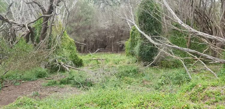Fourth view of Homely land listing, Lot 1 Edens Road, Palana TAS 7255