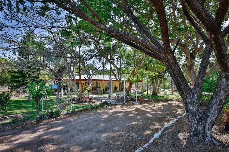 Main view of Homely house listing, 11 Coolibah Court, Nome QLD 4816
