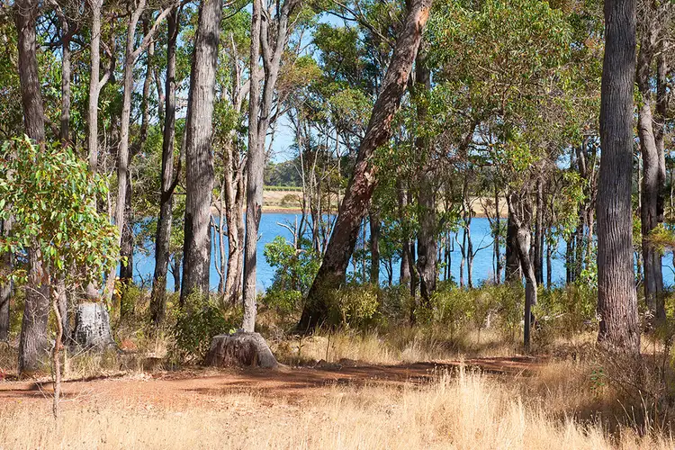24 Coral Vine Cross, Cowaramup WA 6284