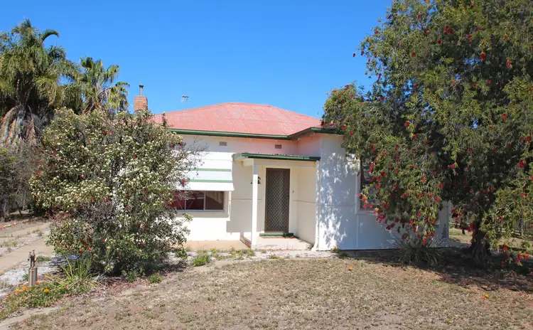 29 Sixteenth Street, Renmark SA 5341