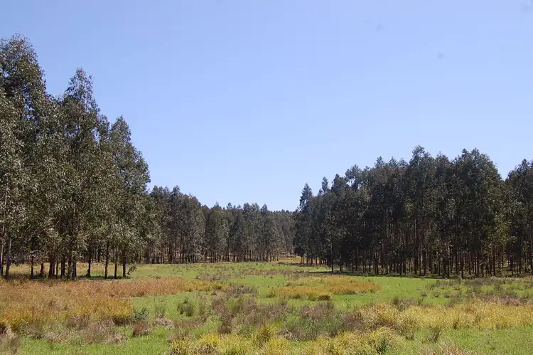 Seventh view of Homely rural property listing, 'Coongbar' Coongbar Road, Coongbar NSW 2469