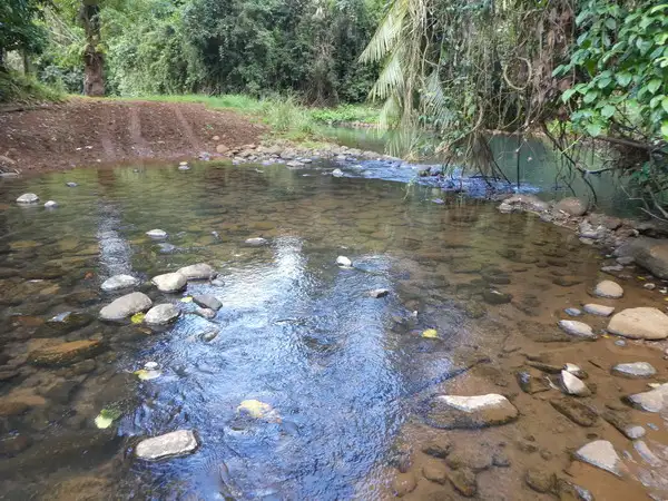 Seventh view of Homely rural property listing, Address available on request