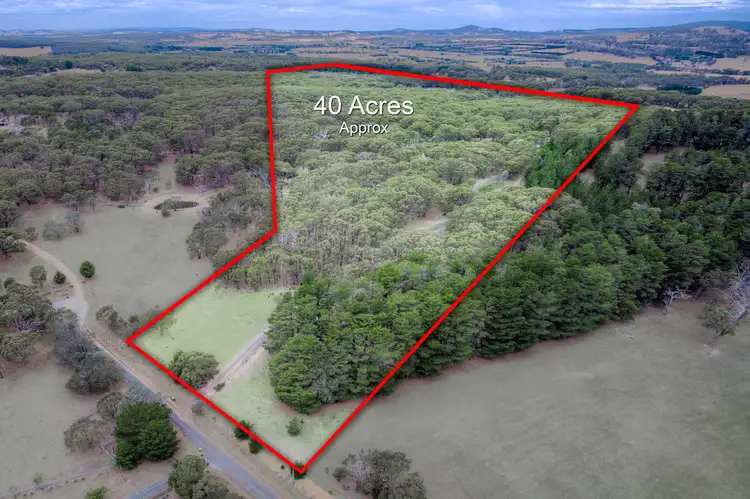 Second view of Homely house listing, 254 Institute Road, Carlsruhe VIC 3442