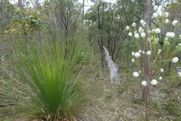 Lot 27 Porter Court, Yallingup WA 6282