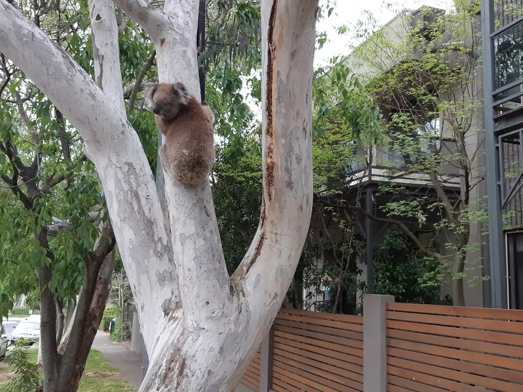 Main view of Homely townhouse listing, 4/1 Waterfall Terrace, Burnside SA 5066
