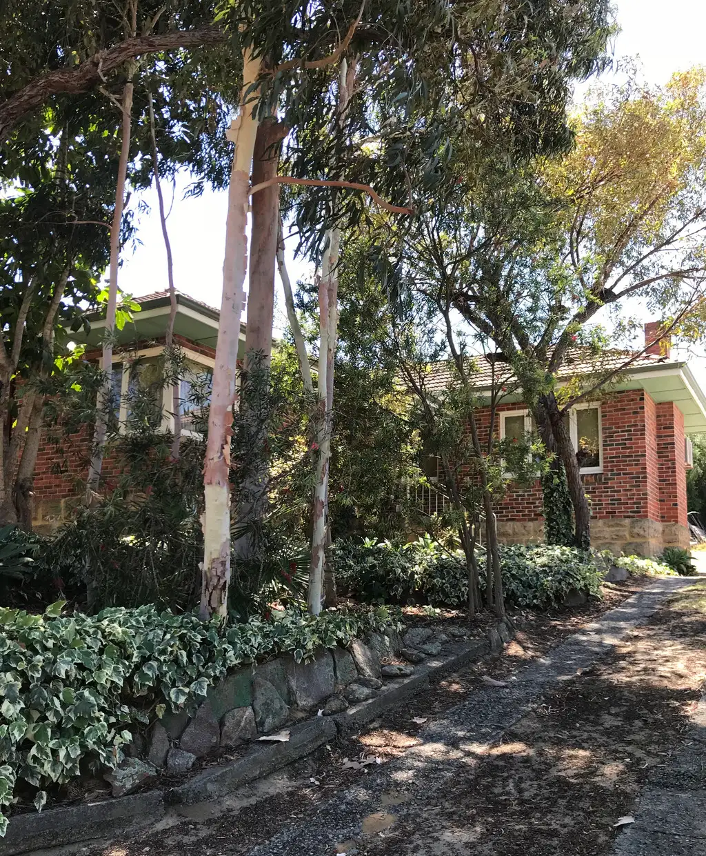 Main view of Homely house listing, 116 Brookdale Street, Floreat WA 6014