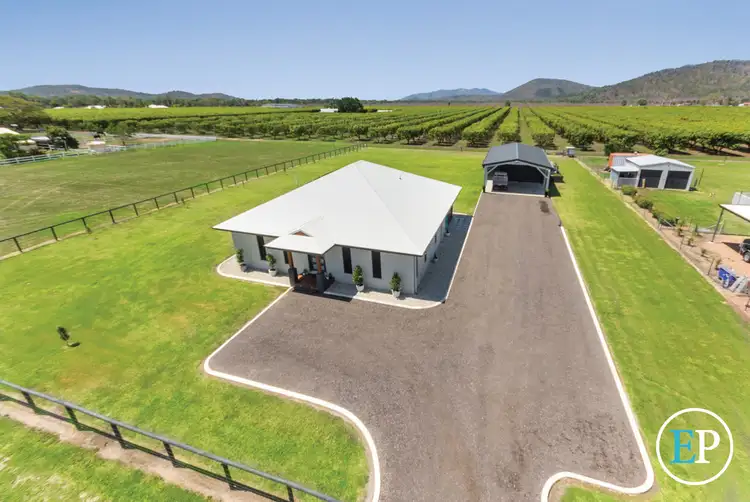 Second view of Homely house listing, 4 Colwell Court, Alligator Creek QLD 4816