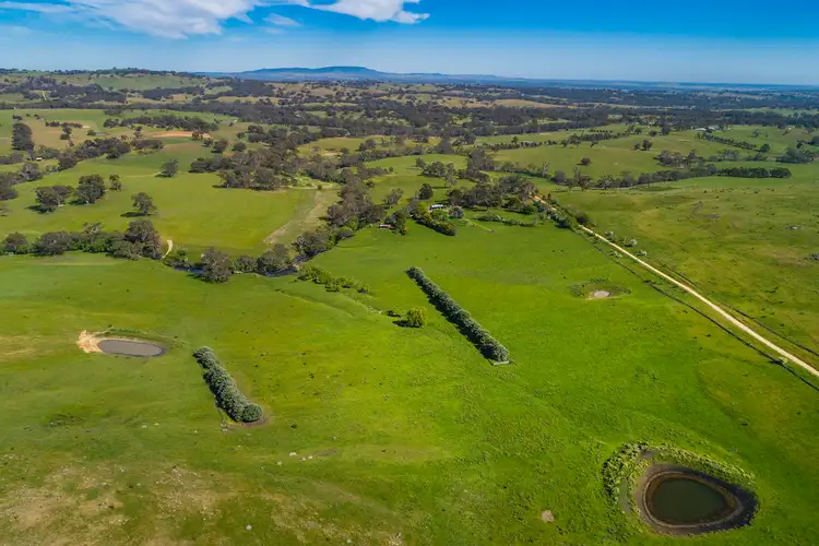 Seventh view of Homely rural property listing, Lot 1 73 Mitchells Lane, Barfold VIC 3444
