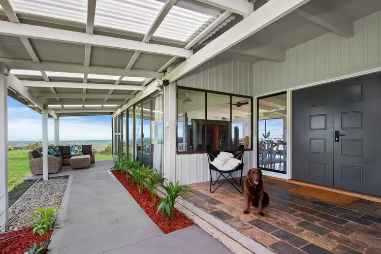 Fifth view of Homely rural property listing, 589 Little Forest Road, Milton NSW 2538