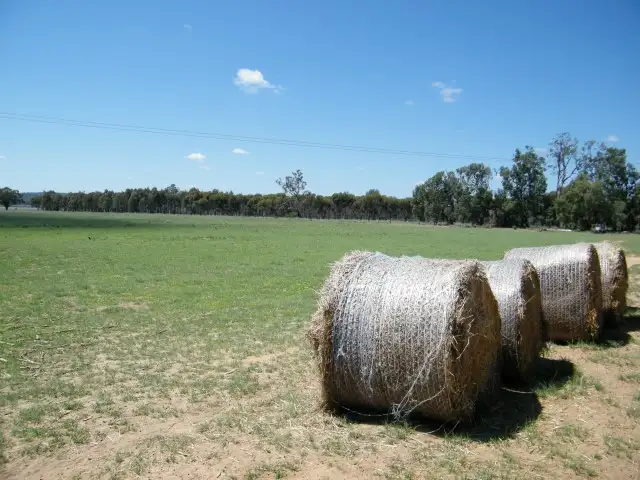 Fourth view of Homely rural property listing, 4246 Coonabarabran Road, Spring Ridge NSW 2343