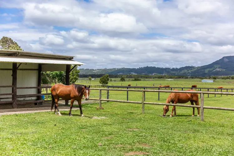 Second view of Homely house listing, 179 Toolborough Rd, Yandina Creek QLD 4561