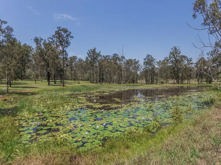Sixth view of Homely house listing, 53 Durlik Road, Pine Mountain QLD 4306