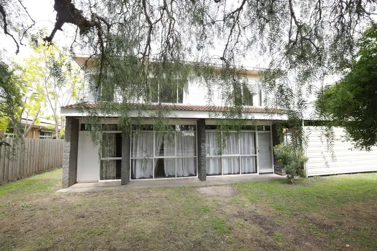 53 Barrabool Road, Belmont VIC 3216