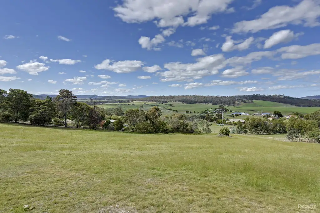Main view of Homely land listing, 184 Gilling Brook Road, Forcett TAS 7173
