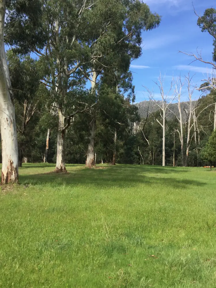 Second view of Homely rural property listing, 253 Wilhelmina Falls Road, Murrindindi VIC 3717