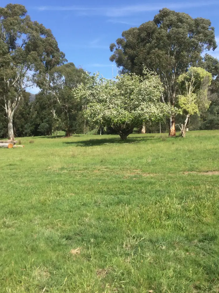 Fourth view of Homely rural property listing, 253 Wilhelmina Falls Road, Murrindindi VIC 3717