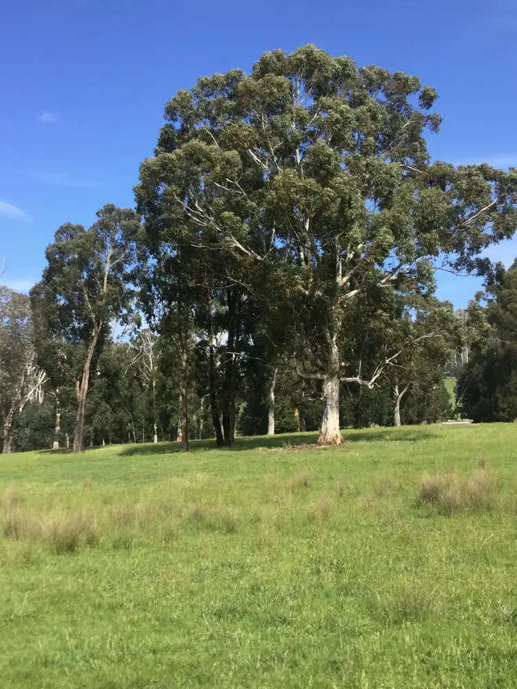 Fifth view of Homely rural property listing, 253 Wilhelmina Falls Road, Murrindindi VIC 3717