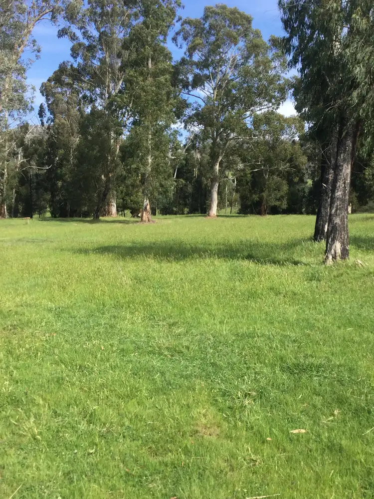 Sixth view of Homely rural property listing, 253 Wilhelmina Falls Road, Murrindindi VIC 3717