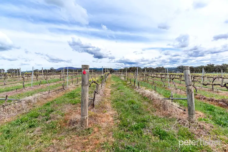 Sixth view of Homely rural property listing, Lot 19 Bradleys Road, Orange NSW 2800