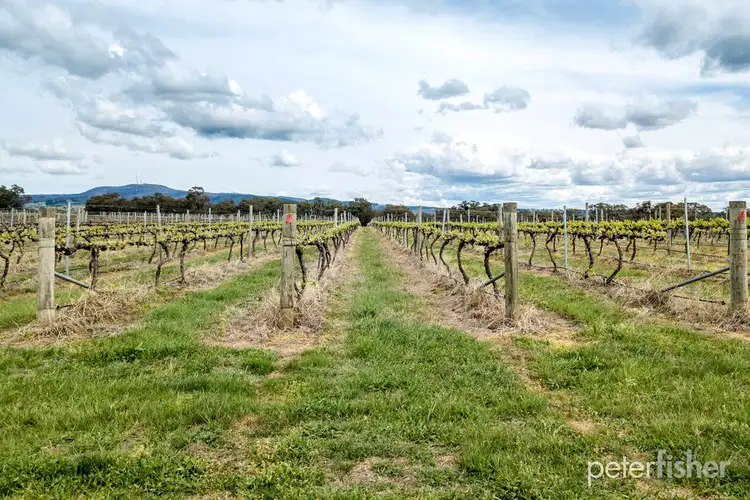 Seventh view of Homely rural property listing, Lot 19 Bradleys Road, Orange NSW 2800