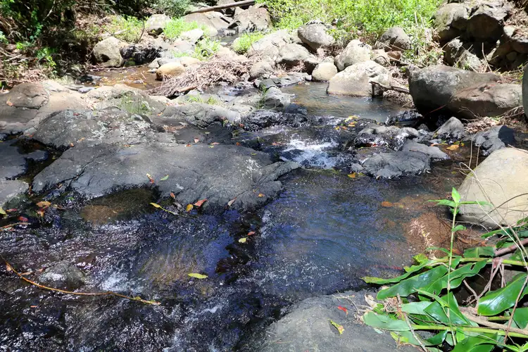 Second view of Homely house listing, 8/924 Blue Knob Road, Nimbin NSW 2480