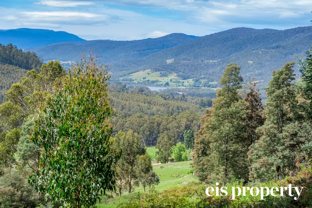 Main view of Homely land listing, 162900/2 Swamp Road, Franklin TAS 7113