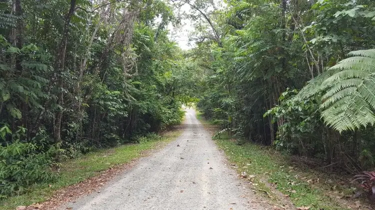 Second view of Homely house listing, 5 Mahogany Road, Daintree QLD 4873