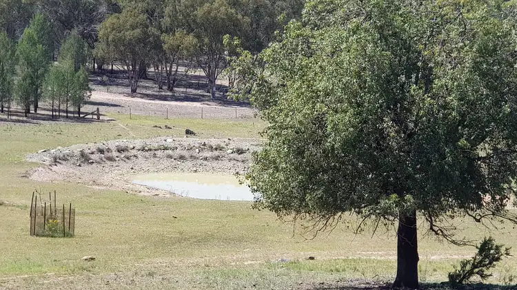 1678 Yarrabin Road, Mudgee NSW 2850