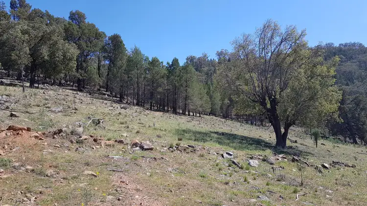 Fourth view of Homely rural property listing, 1678 Yarrabin Road, Mudgee NSW 2850